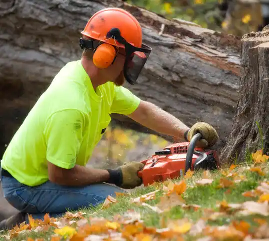 tree services Eatons Neck